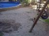 Swimming pool (1)