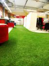 Office (3)