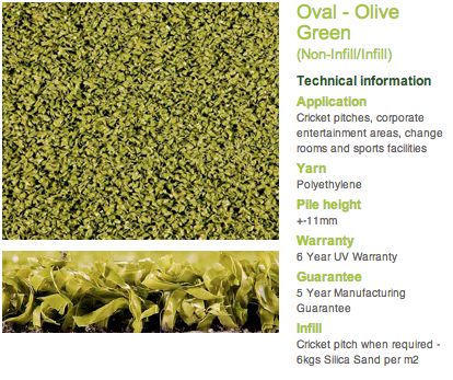 Oval Olive green
