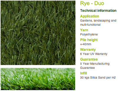 rye duo