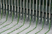 grasscarpet